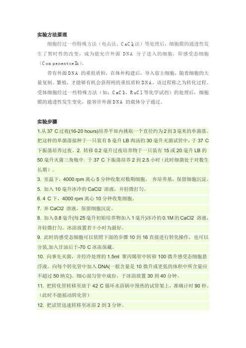 感受态细胞制备与转化