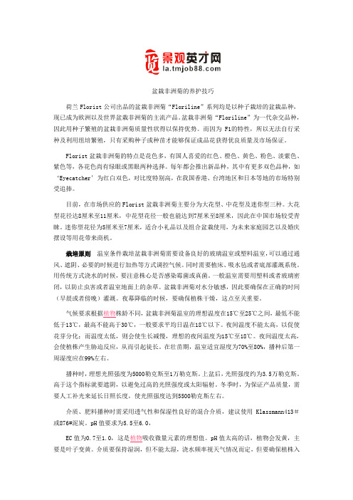 盆栽非洲菊的养护技巧