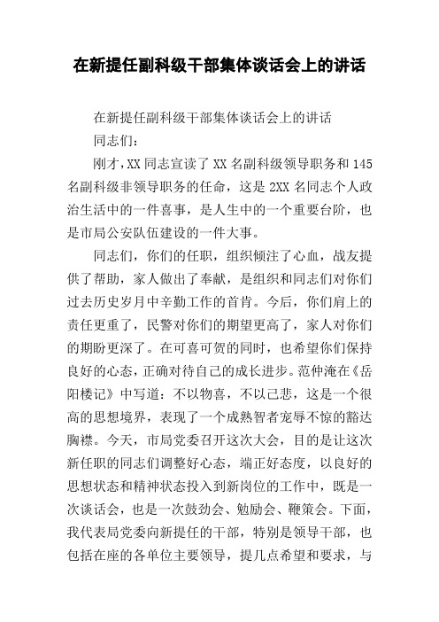 在新提任副科级干部集体谈话会上的讲话