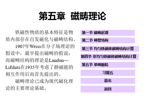 《磁性物理》第五章-磁畴理论PPT