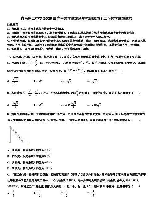 青岛第二中学2025届高三数学试题质量检测试题(二)数学试题试卷