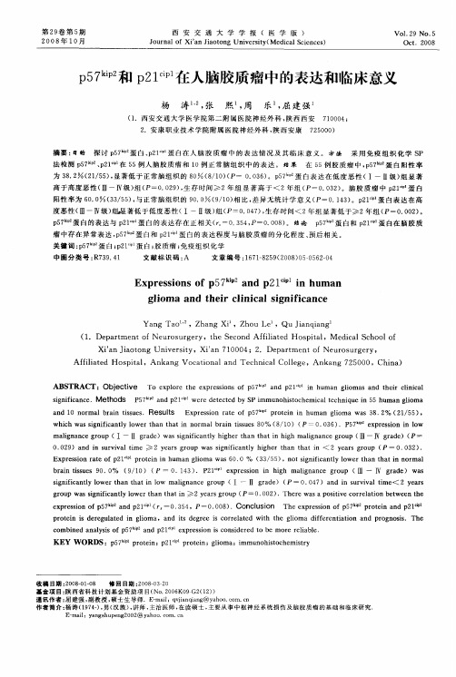 p57 kip2和p21 cip1在人脑胶质瘤中的表达和临床意义