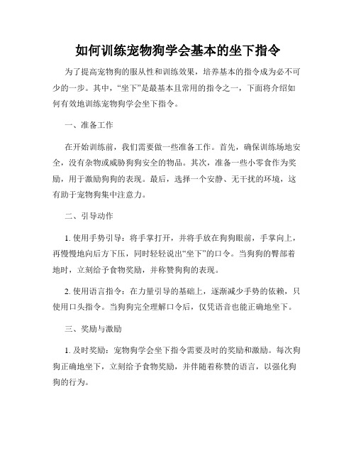 如何训练宠物狗学会基本的坐下指令