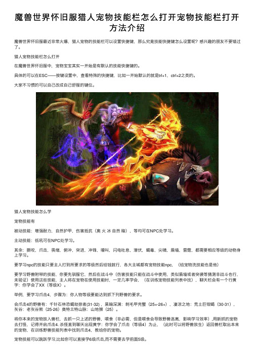 魔兽世界怀旧服猎人宠物技能栏怎么打开宠物技能栏打开方法介绍