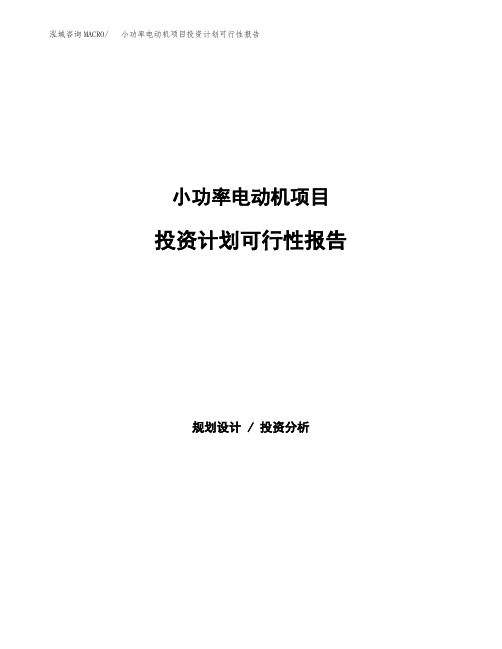 小功率电动机项目投资计划可行性报告(模板参考范文)