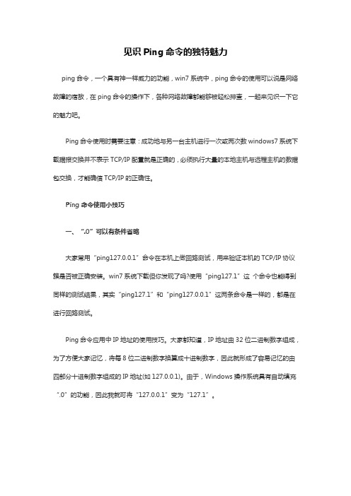 见识Ping命令的独特魅力