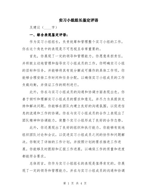 实习小组组长鉴定评语