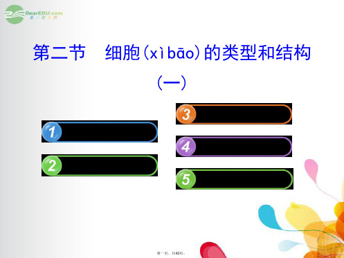 高中生物 1.3.2细胞的类型和结构(一)课件 苏教版必修1 