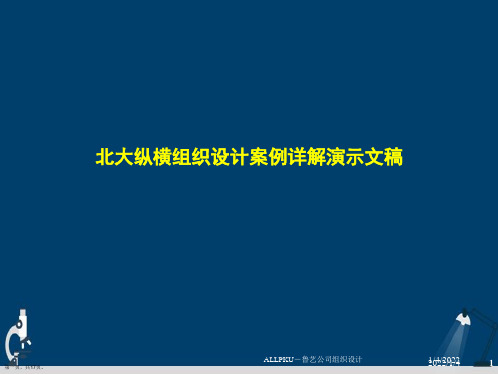 北大纵横组织设计案例详解演示文稿