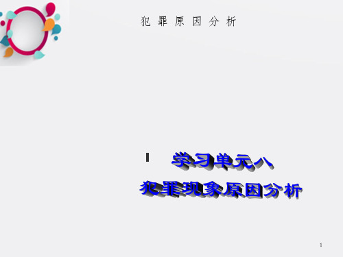 犯罪现象原因分析 犯罪原因分析案例 教学课件_OK