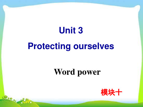 牛津译林版高中英语Module 10 Unit 3 Word power教学课件