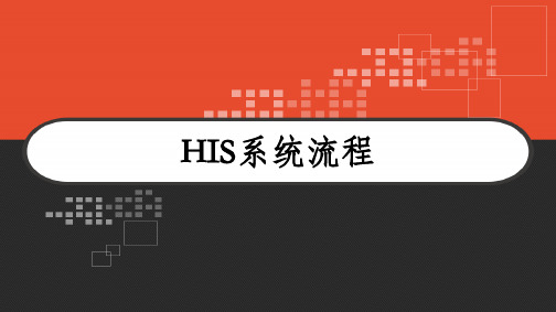 HIS系统流程 PPT