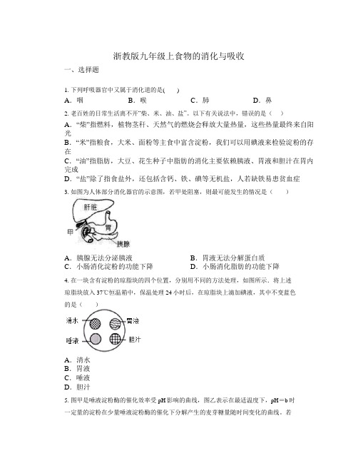 4.2食物的消化与吸收练习浙教版科学九年级上册(1)