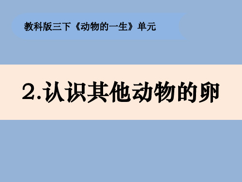 教科版新版小学科学三年级下册科学：2-2《认识其他动物的卵》(课件14ppt)