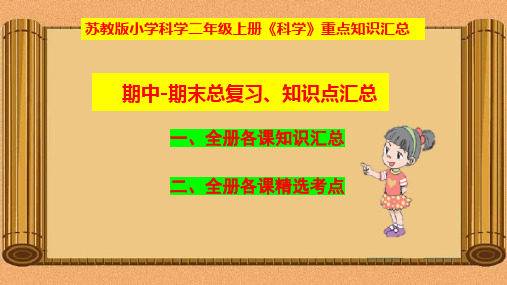 苏教版二年级上册《科学》期末知识点汇总-重点知识梳理-期中期末总复习【最新版-精品】