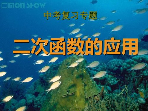 中考复习专题-二次函数应用题PPT优选课件