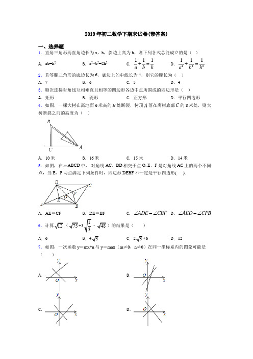 2019年初二数学下期末试卷(带答案)