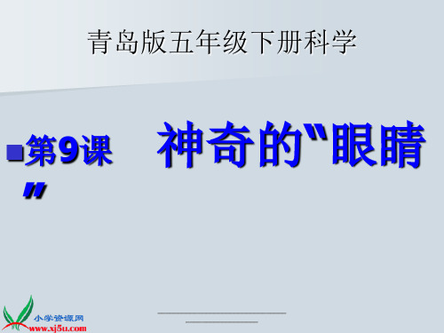 最新青岛版五年级科学下册——9.神奇的眼睛课件