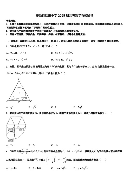 安徽省滁州中学2025届高考数学五模试卷含解析