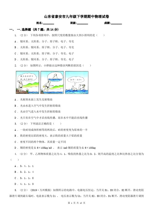 山东省泰安市九年级下学期期中物理试卷