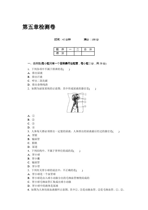 【人教版】七年级下册生物：第五章  检测卷及答案