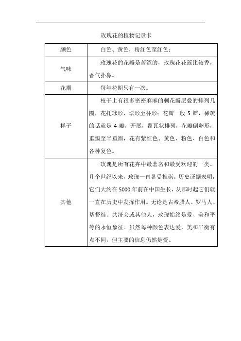 三年级植物记录卡作业玫瑰花