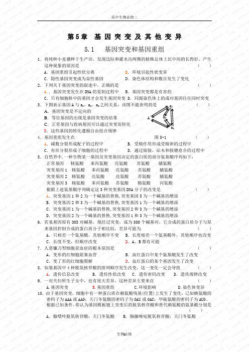 人教版试题试卷基因突变和基因重组 练习 1