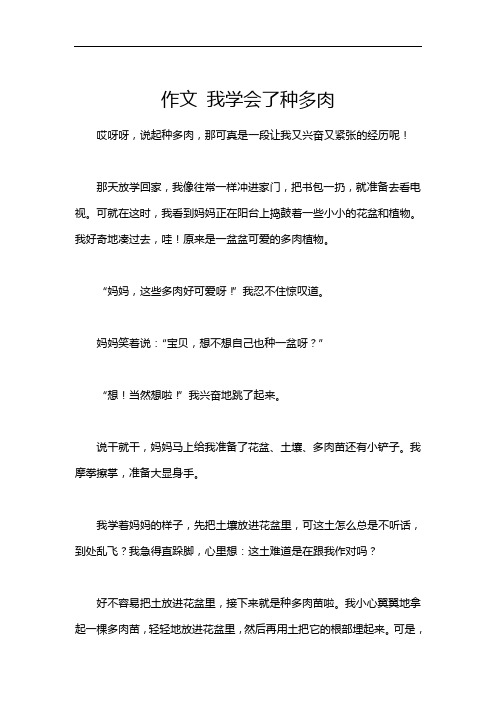 作文 我学会了种多肉