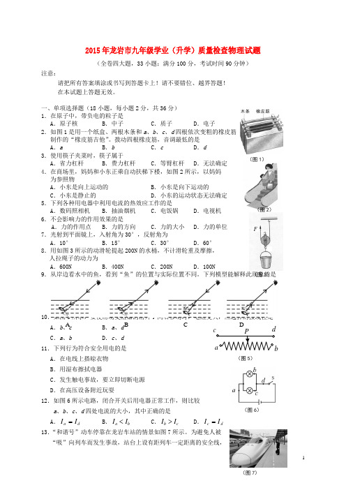 福建省龙岩市九年级物理学业(升学)质量检查试题 (2)