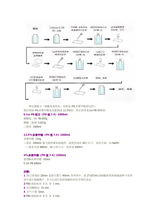 细胞爬片免疫组化