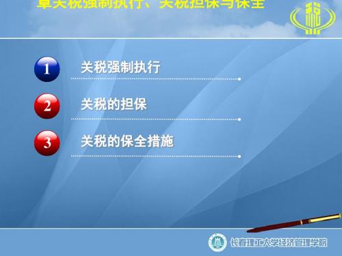 关税强制执行、关税担保与保全(ppt46张)