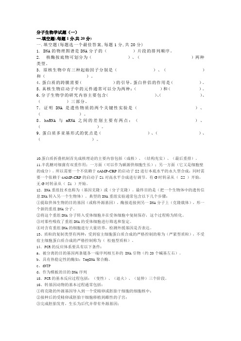 分子生物学试题及答案