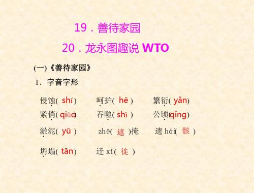 初中语文语文版新课标九年级下册课件:第五单元 19.