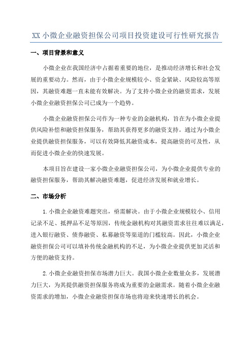 XX小微企业融资担保公司项目投资建设可行性研究报告