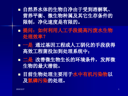 水环境污染控制与治理的生态工程及微生物学原理