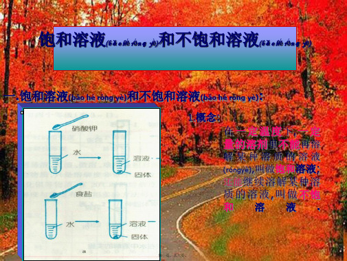 九年级化学下册《9.2 饱和溶液与不饱和溶液》课件 