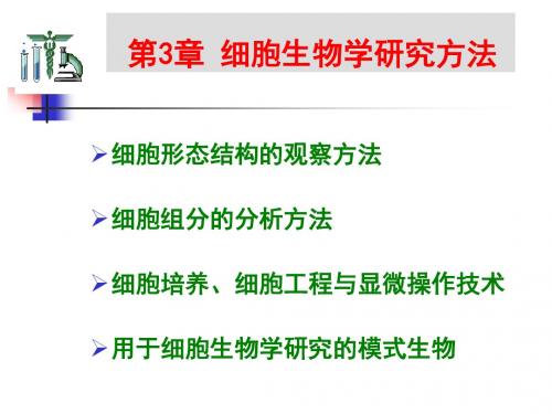 3 细胞生物学研究方法