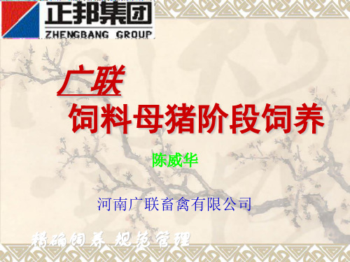 广联饲料母猪阶段饲养