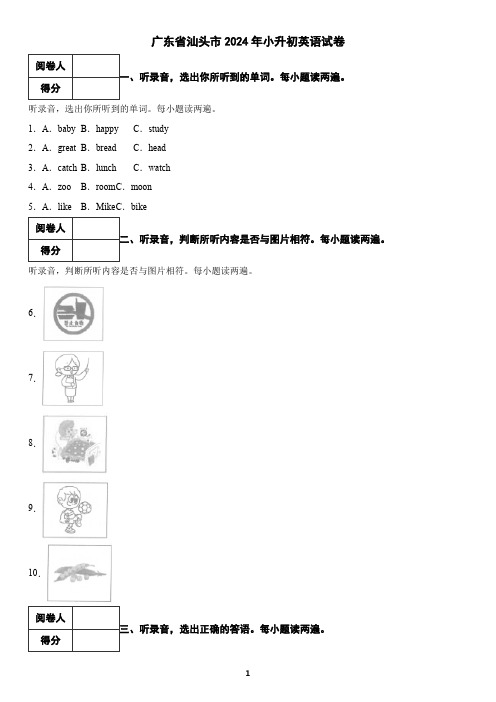 广东省汕头市2024年小升初英语试卷(含答案)