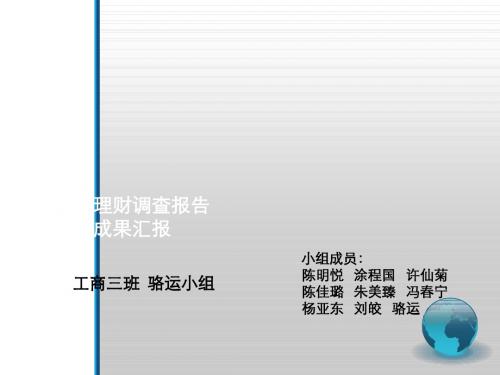 新生理财调查报告书(ppt 17页)