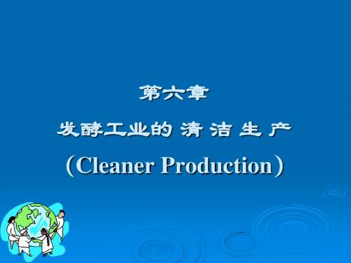 第6章发酵工业的清洁生产