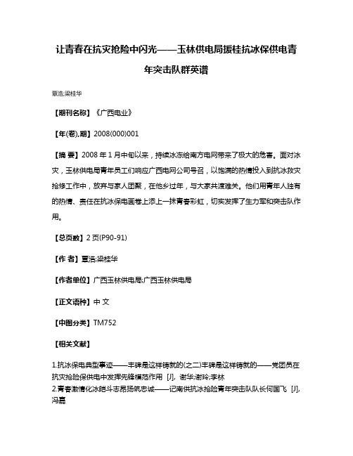 让青春在抗灾抢险中闪光——玉林供电局援桂抗冰保供电青年突击队群英谱