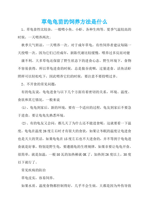 草龟龟苗的饲养方法是什么