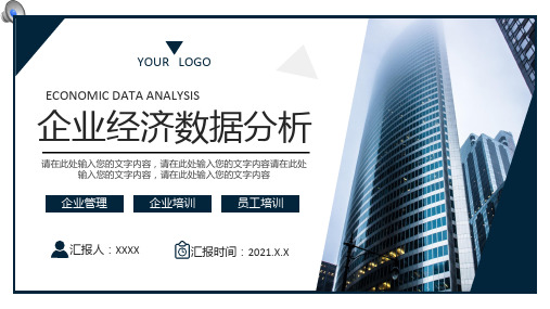 企业经济数据分析ppt