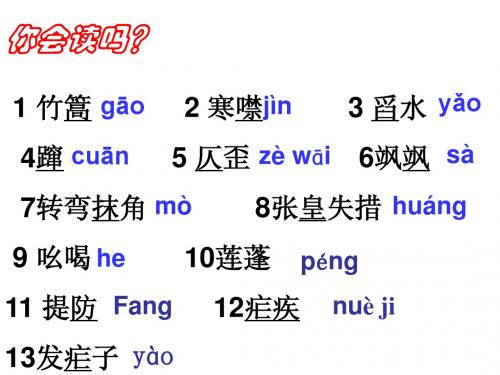 人教版语文八年级上册《芦花荡》ppt课件