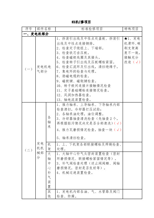 XX水电C级检修项目