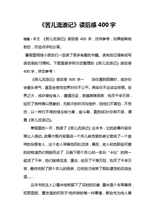 《苦儿流浪记》读后感400字