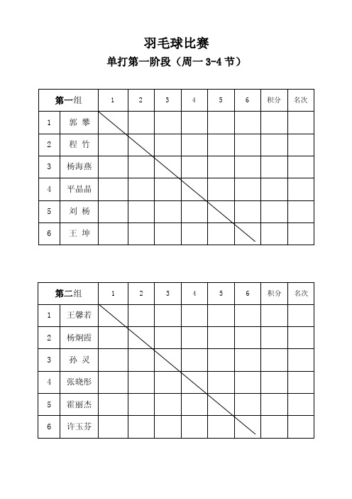 孙长武羽毛球比赛单打填分表