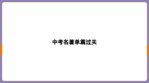 2024年中考语文总复习名著单篇过关——朝花夕拾