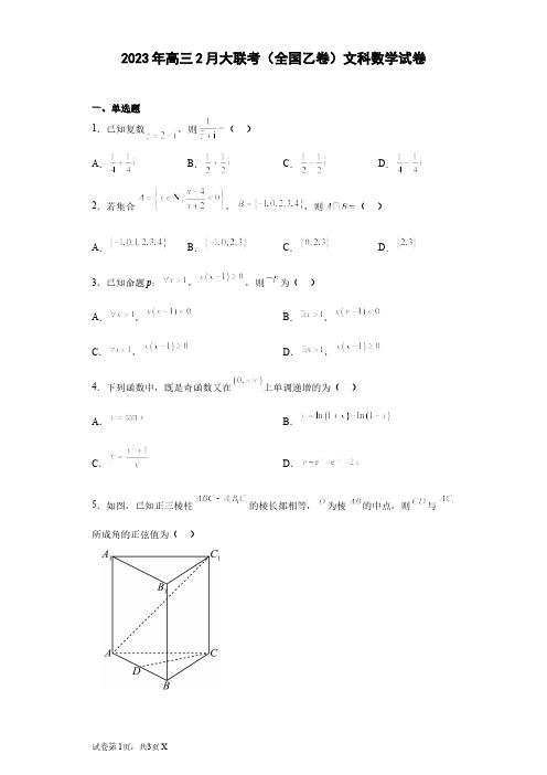 2023年高三2月大联考(全国乙卷)文科数学试卷